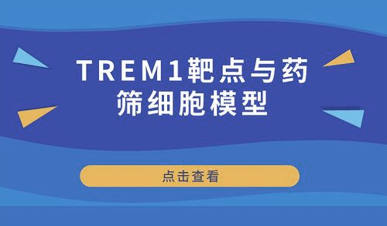 先驅還是先烈-TREM1靶點(diǎn)與藥篩細胞模型