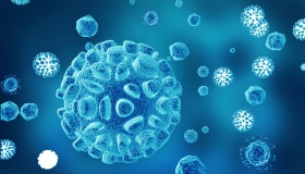 慢病毒整合穩定細胞株